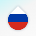 Drops学习俄语app最新下载 v36.15