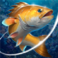 钓鱼挑战赛游戏官方安卓版 v2.4.5